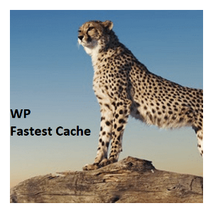 fastest cache